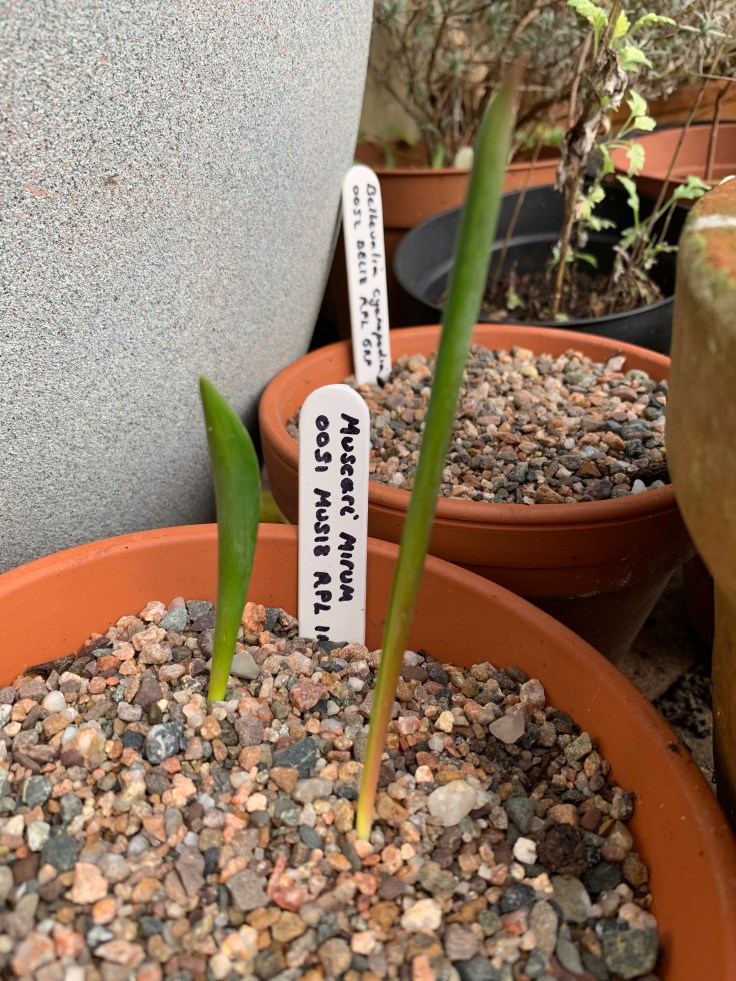 8d171008-9d1e-4c70-ab26-28b711012f13