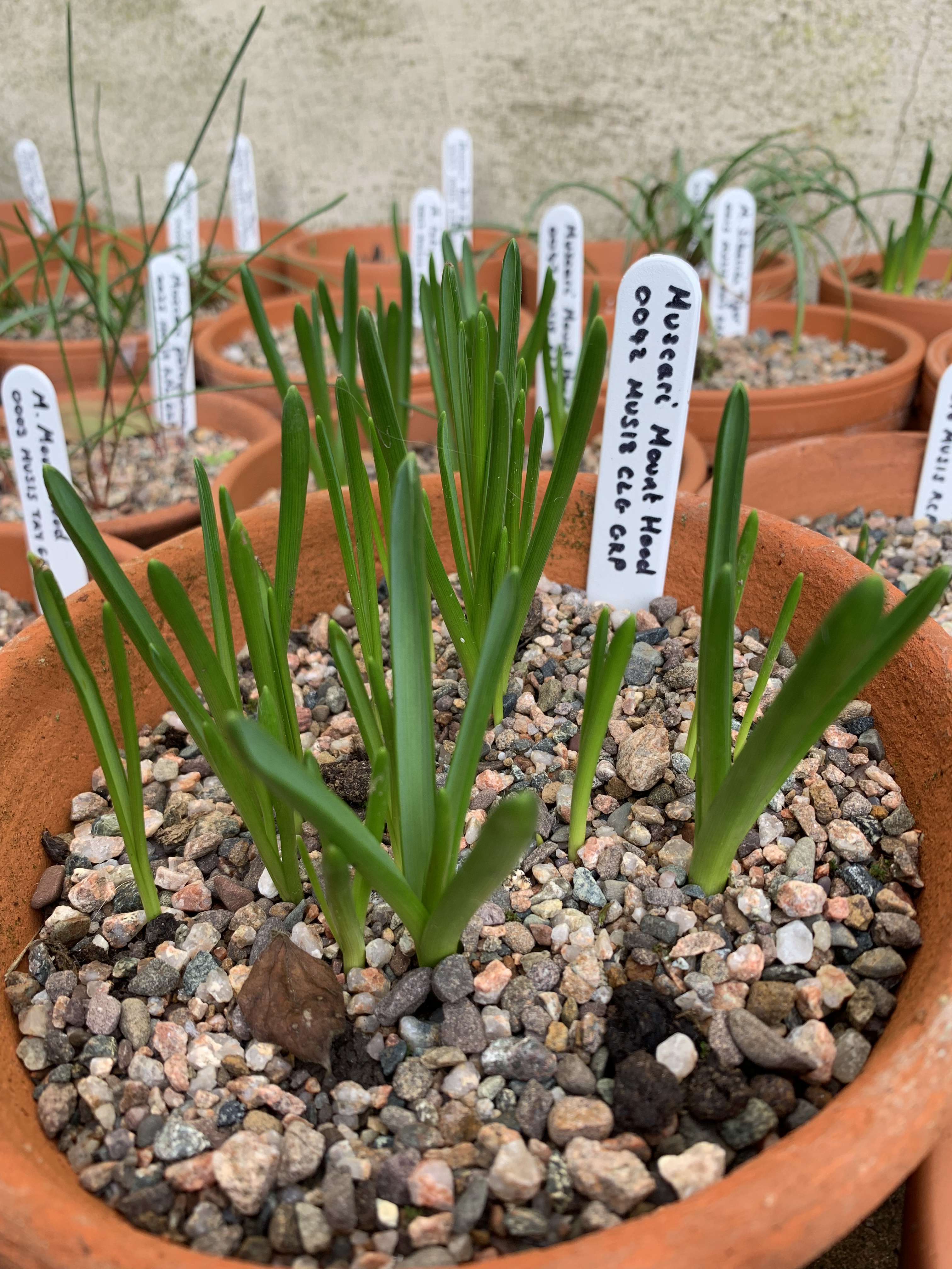 b8434ccb-1638-4f4b-a421-94647837a4b8